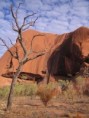 /album/fauna-flora/a02-uluru-jpg/